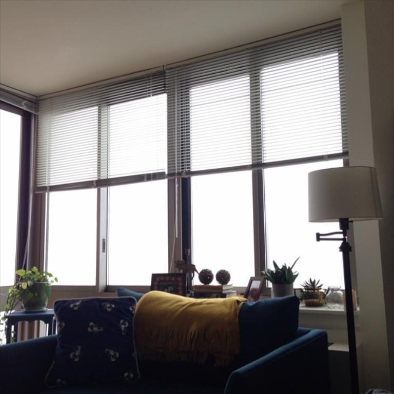 Windows Replacements